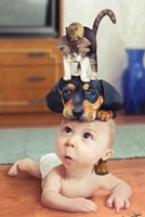 Cute enemies